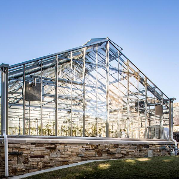 a glass-walled greenhouse
