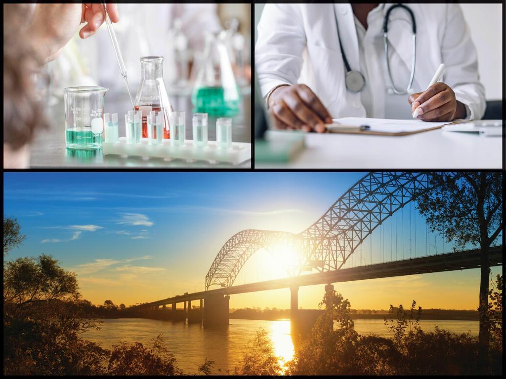 health sciences and Memphis collage